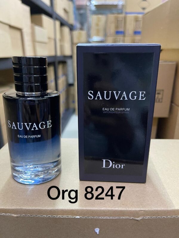 SAUVAGE - EAU DE PARFUM For Man